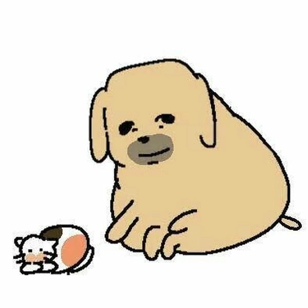 Meme chó rách cười té