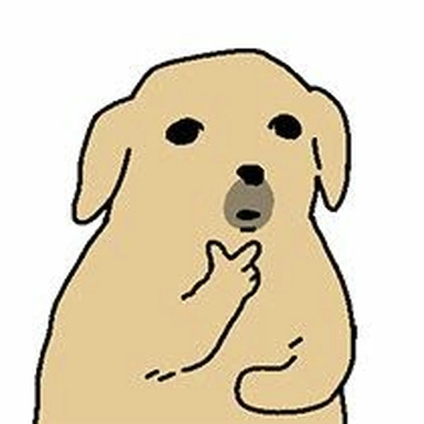 Ảnh chó rách chế vui