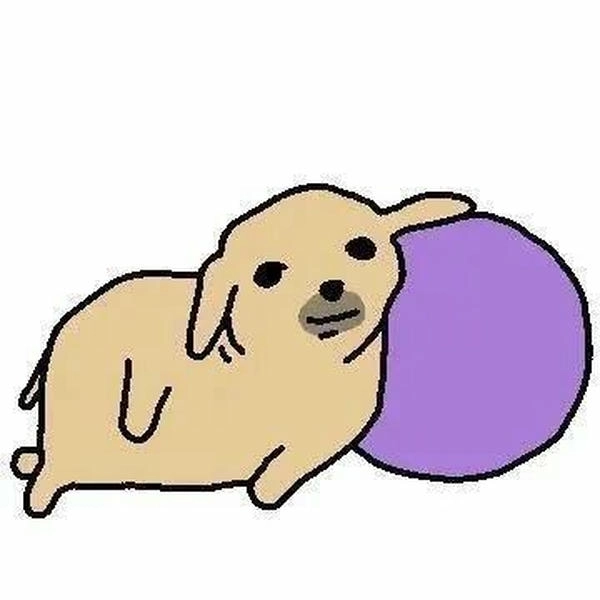 Meme chó rách đang hot