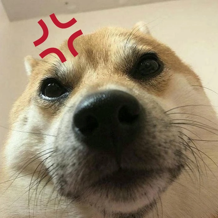meme chó giận dữ phản ứng mạnh 