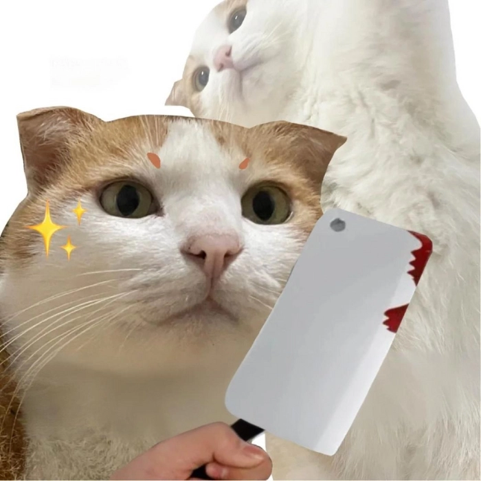 ảnh mèo meme cầm dao hài