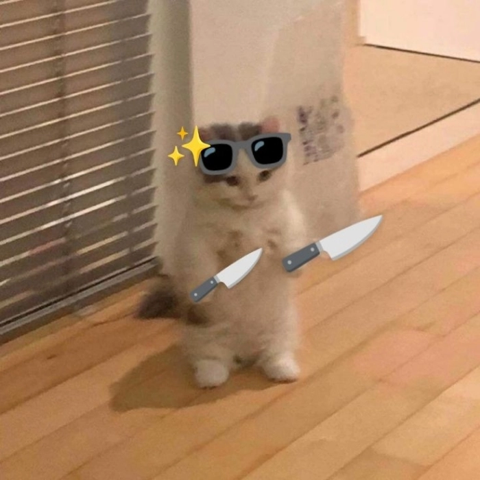 hình meme mèo cầm dao gây cười