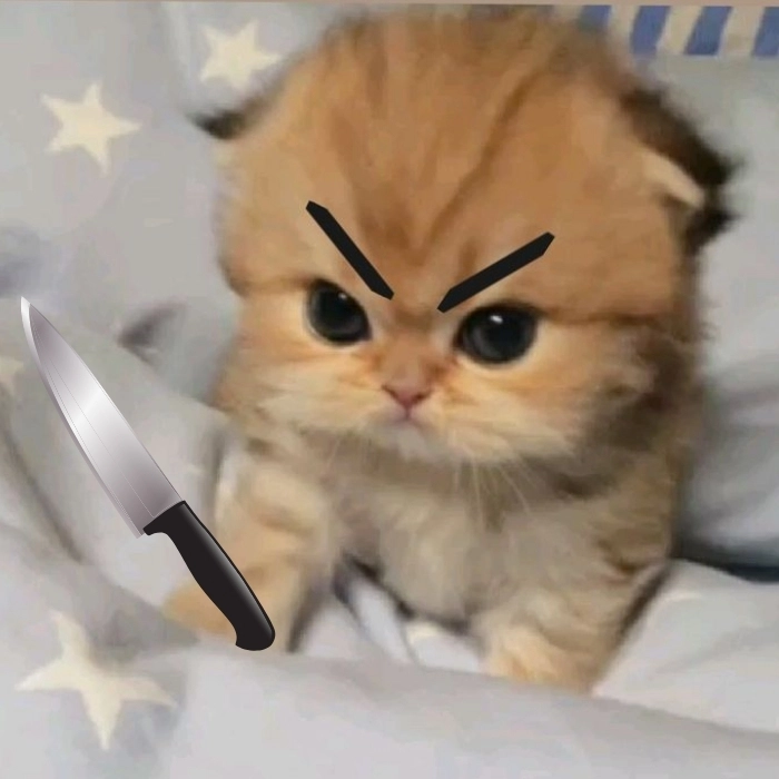 meme mèo tom cầm dao meme hoạt hình