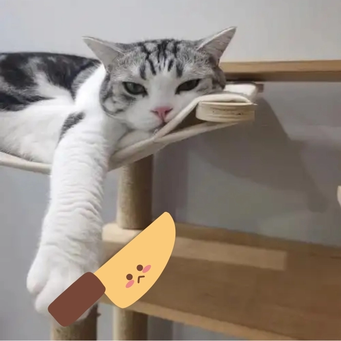 mèo meme cầm dao đáng sợ