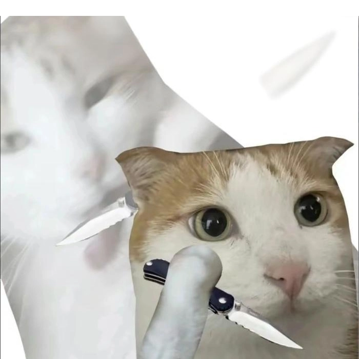 hình ảnh meme mèo cầm dao chém gió
