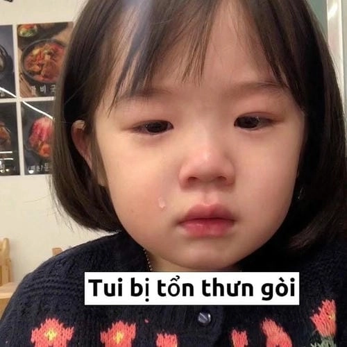 ảnh meme đau ở đây này hài 