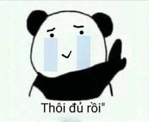 meme mèo đau ở đây này cute 
