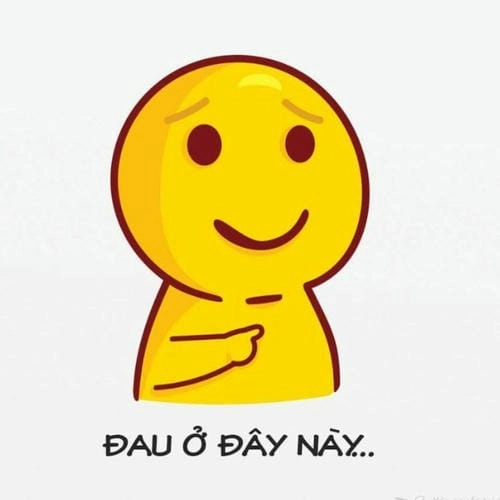 meme mèo đau ở đây này hài hước 