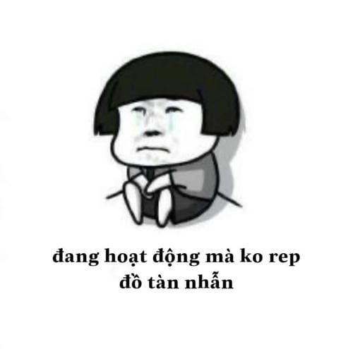 meme mèo đau ở đây này buồn cười 