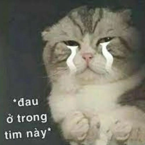 đau ở đây này meme cực hài 