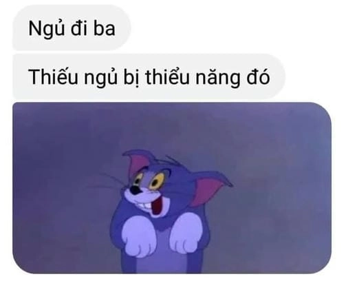 Ảnh đi ngủ meme chất lừ 