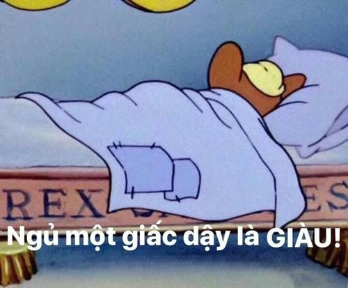 meme đi ngủ sớm ngộ nghĩnh