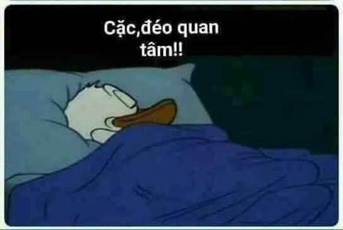 Meme ngủ muộn siêu bựa luôn 
