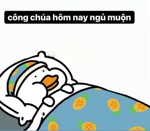 Hình ảnh meme ngủ cực hài 