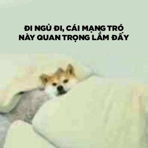 Ảnh hài meme buồn ngủ lắm 