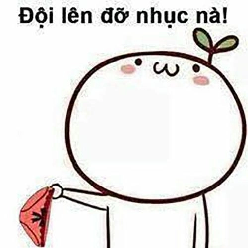 ảnh meme đội quần chế vui 