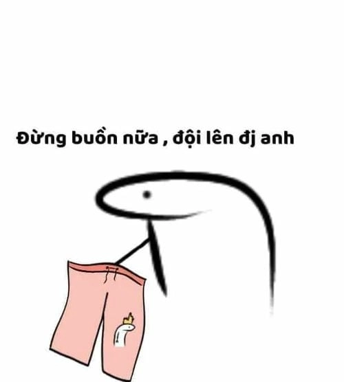đội quần meme ảnh chế vui 