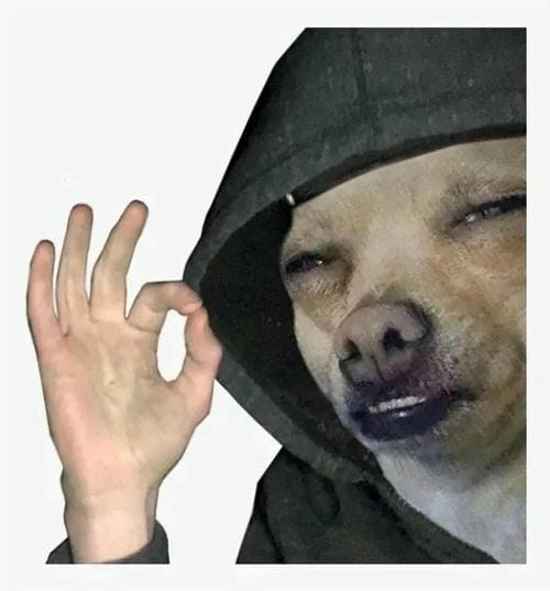 meme mèo đồng ý phổ biến 