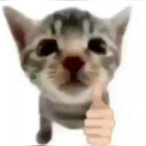 meme đồng ý cực mạnh 
