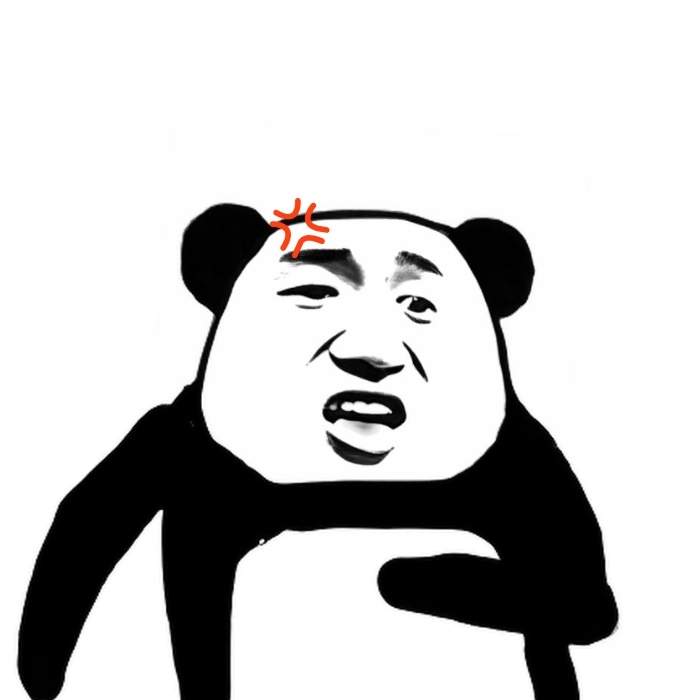 meme gấu trúc cáu gắt