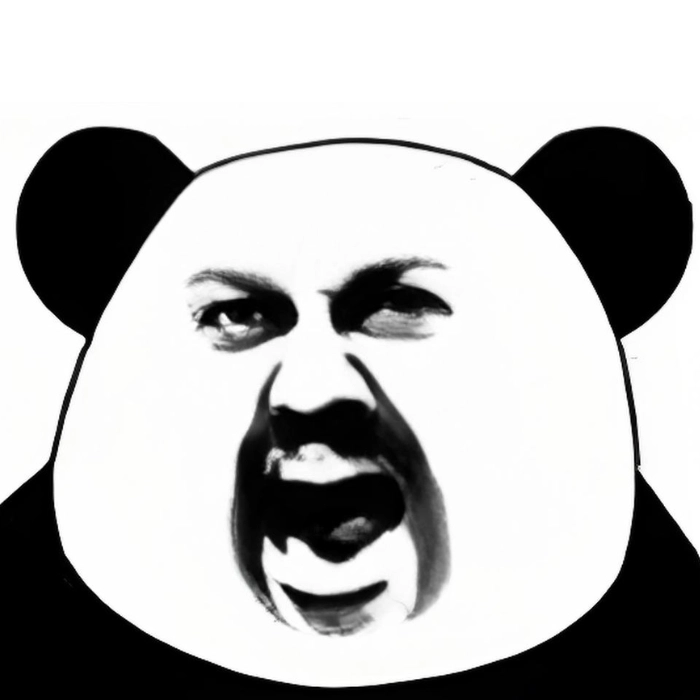 ảnh meme panda giận