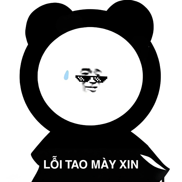 ảnh gấu trúc meme xin lỗi cute