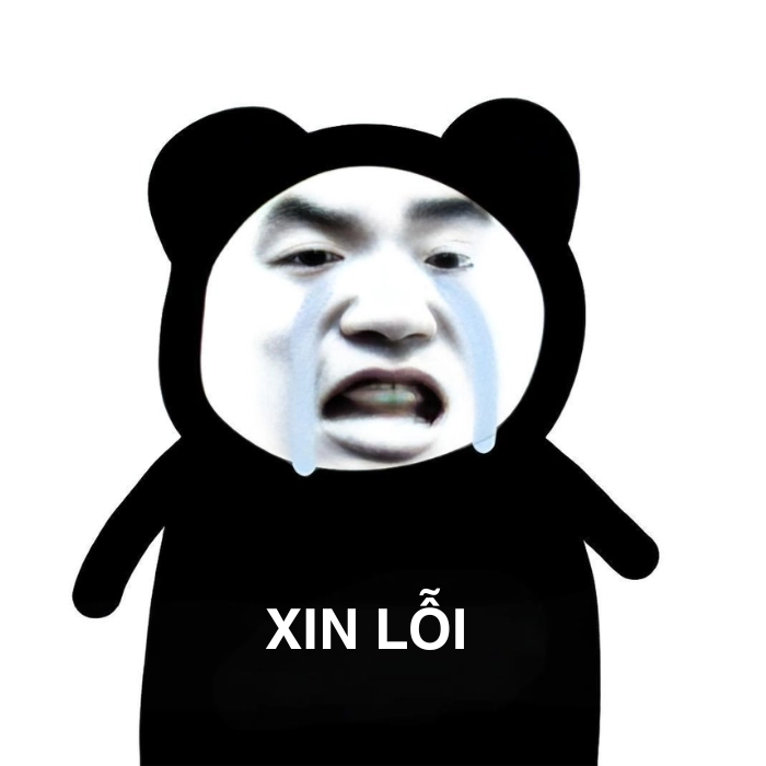 meme gấu trúc xin lỗi kiểu giả trân