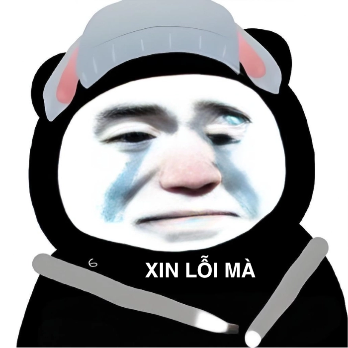 meme gấu trúc xin lỗi troll người yêu