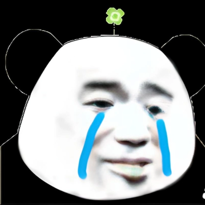 meme gấu trúc xin lỗi hài hước