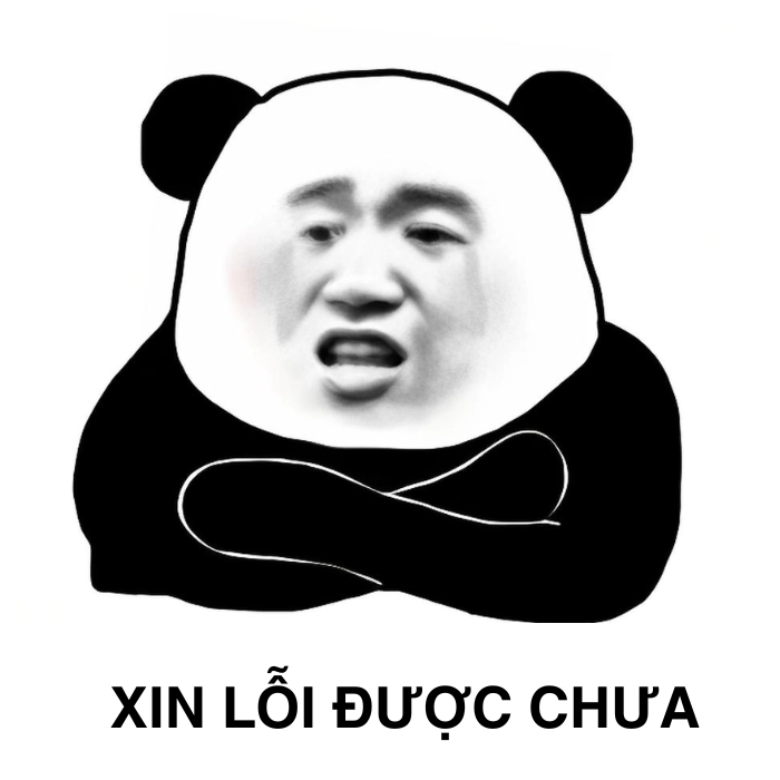 meme gấu trúc xin lỗi cực kỳ dễ mến