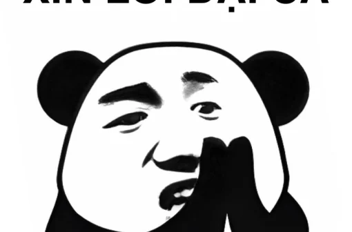 170+ Ảnh meme gấu trúc xin lỗi hài hước, vừa nhây vừa bựa