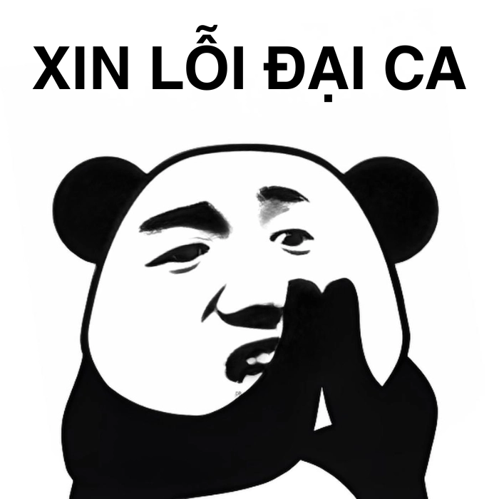 meme gấu trúc xin lỗi nhẹ nhàng