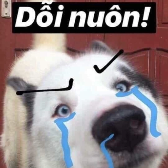 Ảnh meme dỗi siêu dễ thương