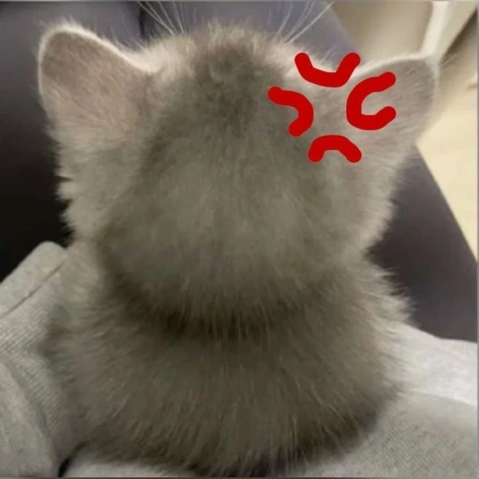 Meme giận dỗi siêu đáng yêu 