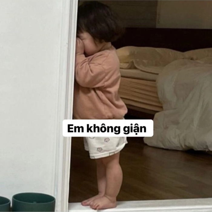 Hình meme mèo dỗi dễ thương 