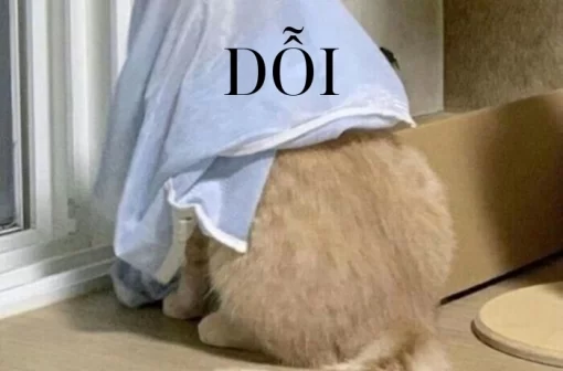 Cười xỉu với 152+ ảnh meme giận dỗi được chia sẻ nhiều nhất