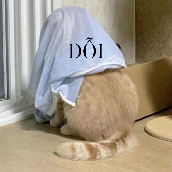 Hình ảnh meme dỗi cực hot 