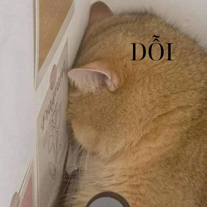 Hình meme dỗi cực kỳ đáng yêu 