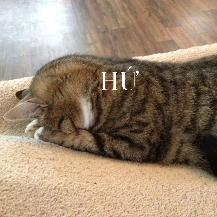 Hình meme giận dỗi hot trend 