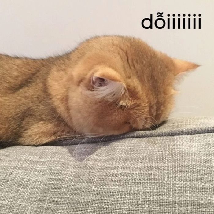 Ảnh chế meme giận dỗi hài 