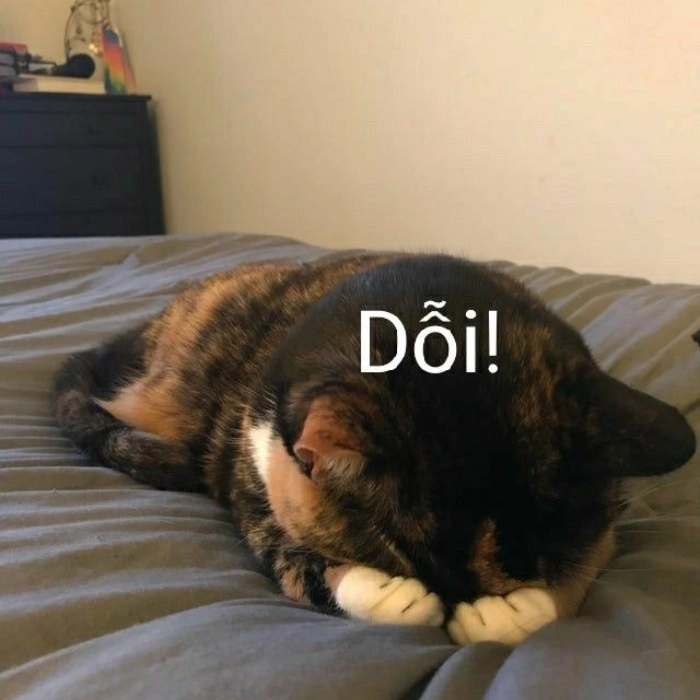 Ảnh meme dỗi người yêu mới nhất