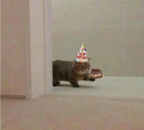 Ảnh meme hpbd troll vui 