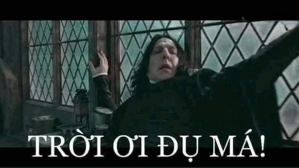 meme hết hồn ngộ nghĩnh 