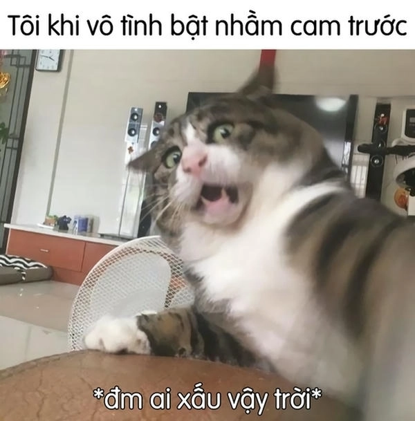 hết hồn meme chất chơi 