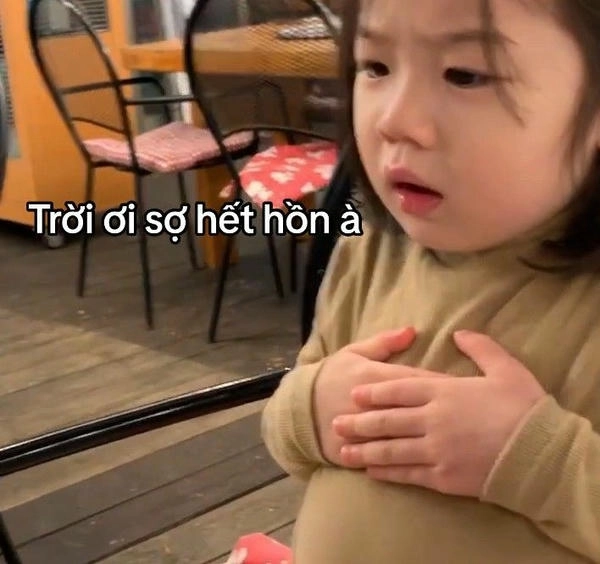 ảnh meme hết hồn cực chất 