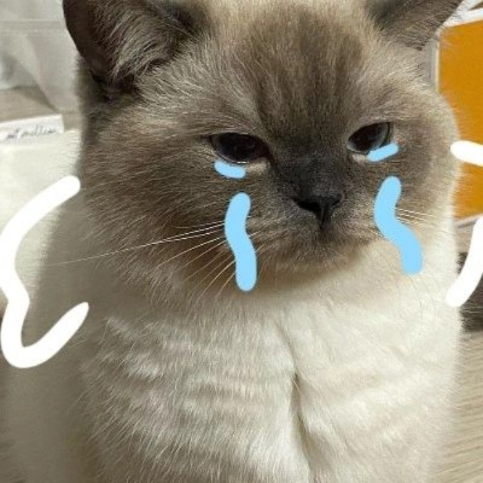 Còn gì nữa đâu mà khóc với sầu meme siêu hài