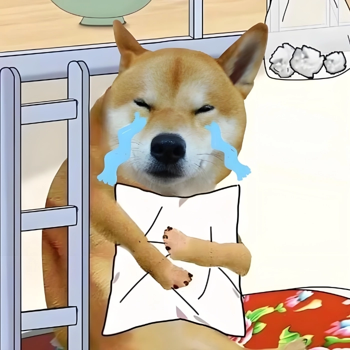 Hình ảnh khóc meme hài hước 