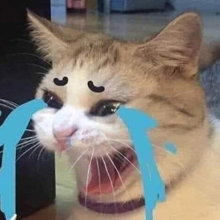 Ảnh meme khóc cười bá đạo 