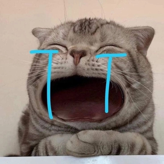 Ảnh khóc meme hài hước 