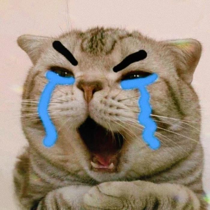 Meme khóc meme cười ra nước 